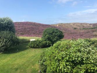 Ausblick