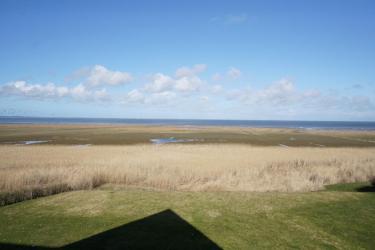 Ausblick vom Wohnzimmer